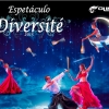 panfleto Diversit 2015