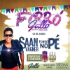 panfleto Forr no P e Saan Vagner