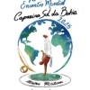 panfleto 10 Encontro Mundial de Capoeira Sul da Bahia