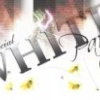 panfleto White Party
