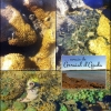 panfleto Re-inaugurao do Espao Coral Vivo Mucug