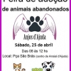 panfleto Feira de adoo de animais abandonados