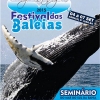 panfleto Festival das Baleias